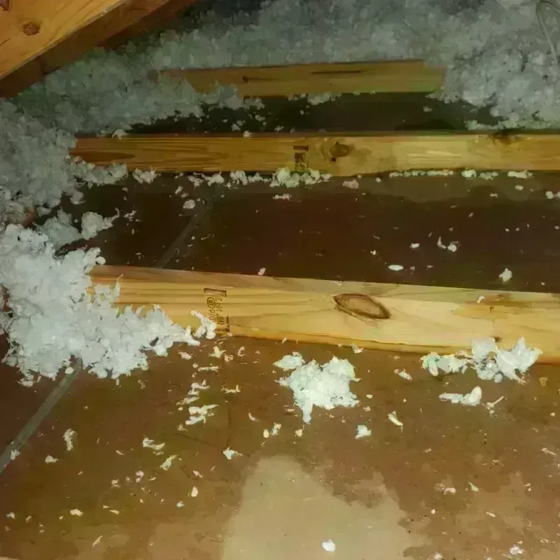 Attic Water Damage in Placer County, CA