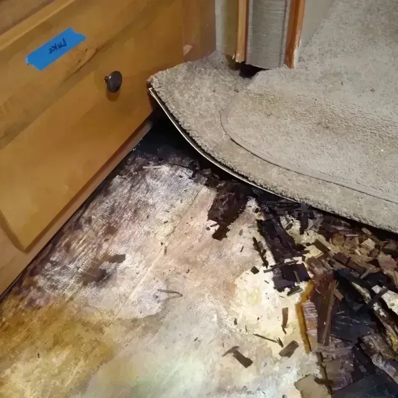 Wood Floor Water Damage in Placer County, CA